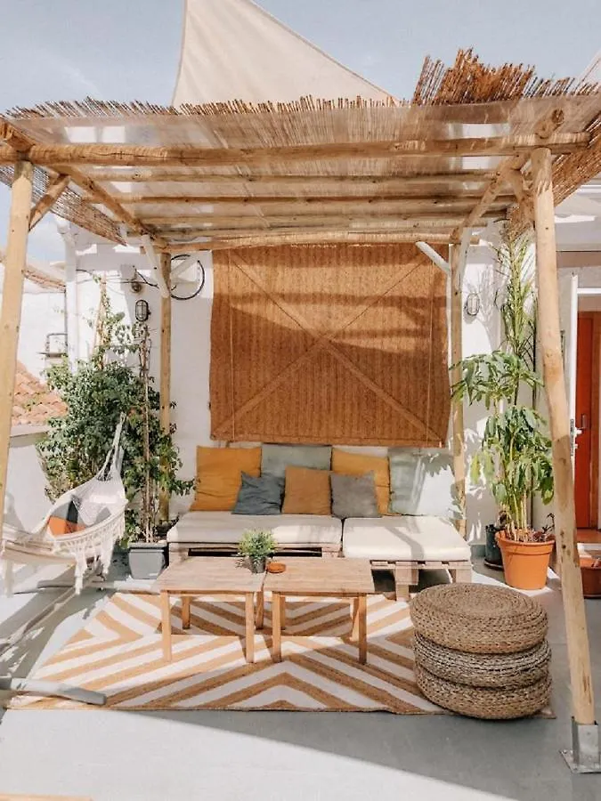 The Urban Jungle Hostel contacts