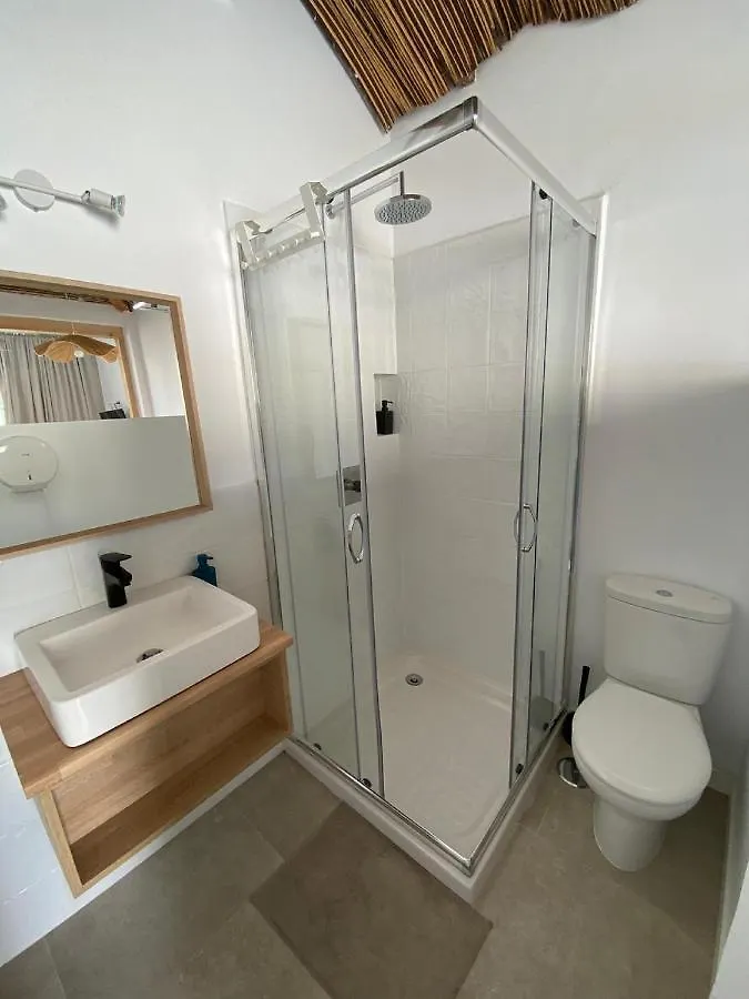 The Urban Jungle Hostel مالقة