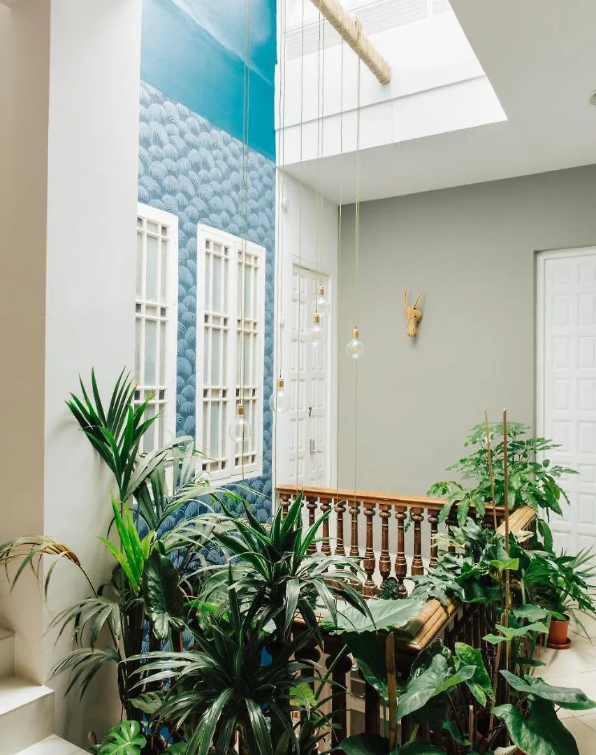The Urban Jungle Hostel Malaga 0*,